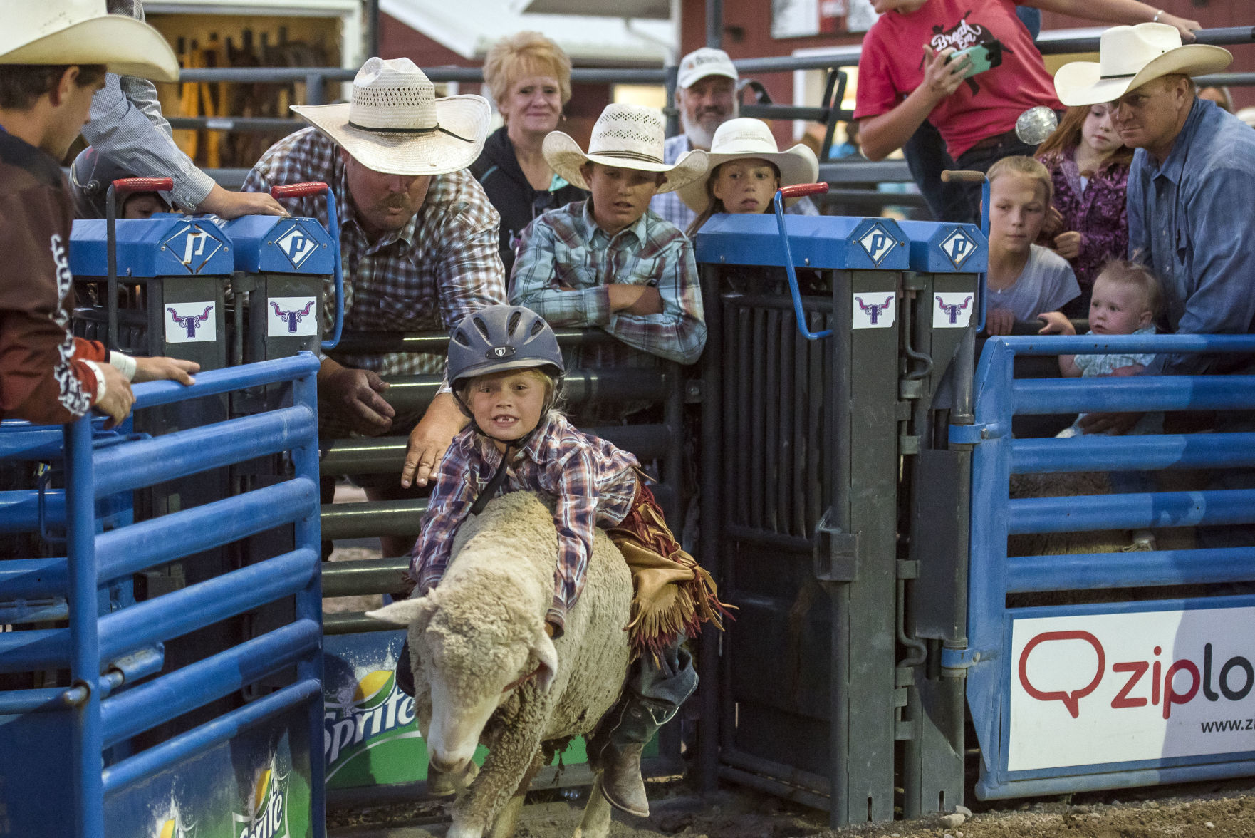 Jackson Hole Rodeo